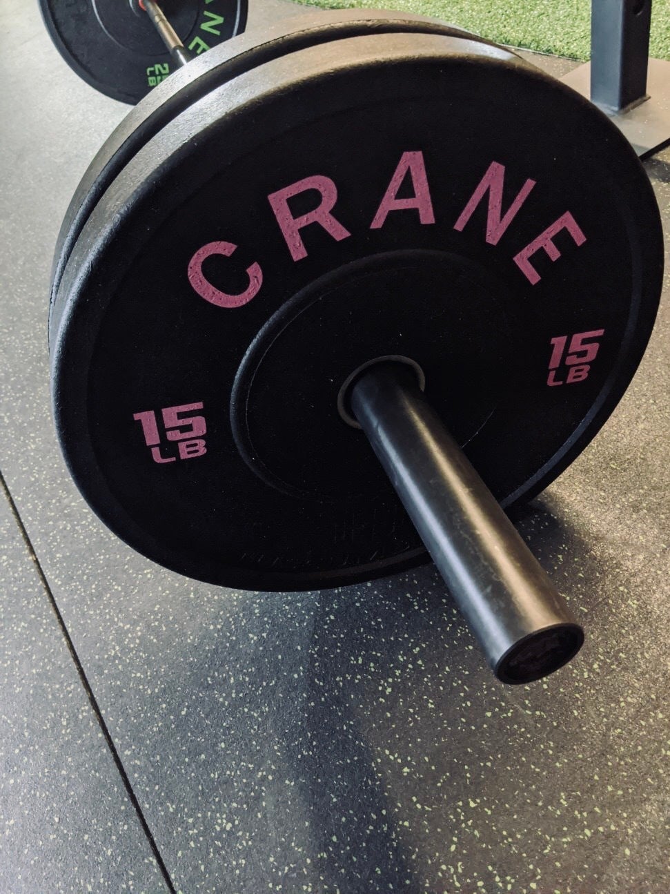 15lb Crane HiTemp Low Profile Plate Set Crane Fitness Equipment