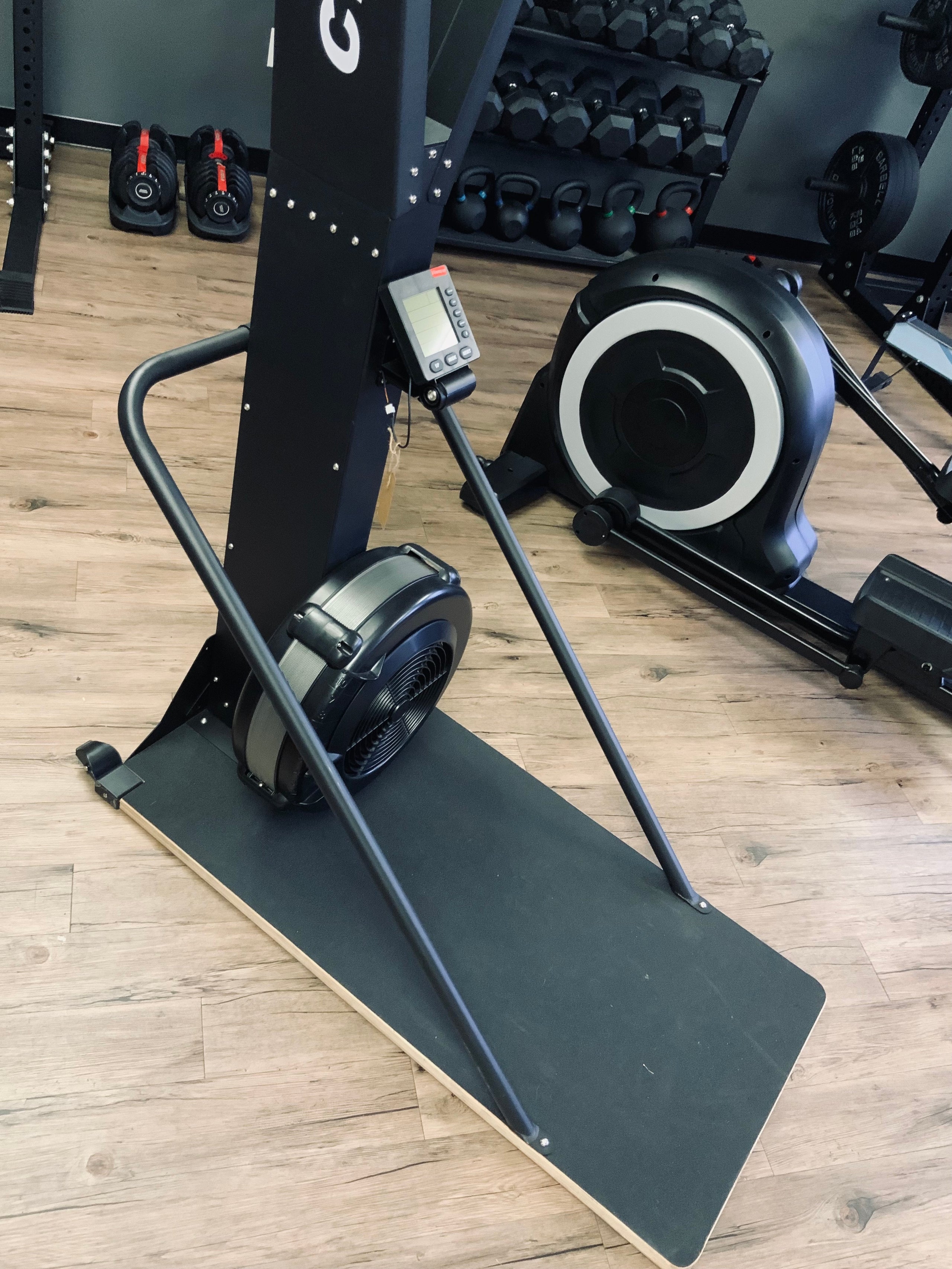 Crane Ski Erg Crane Fitness Equipment